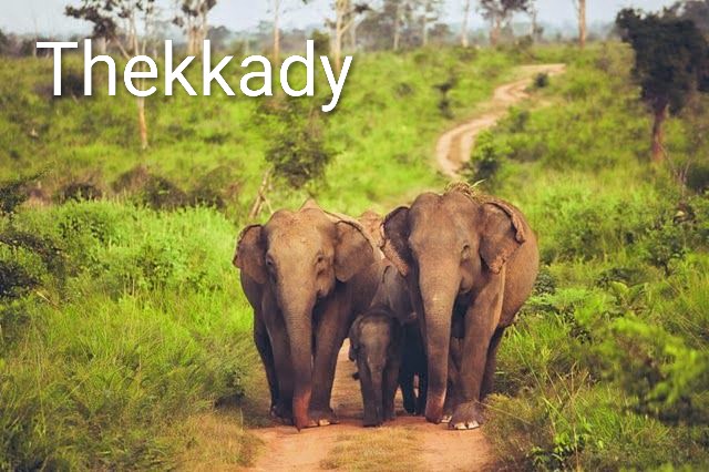 Corporate Trio Reset · Recharge · Reconnect – Kerala | Munnar | Thekkady | Alappuzha |