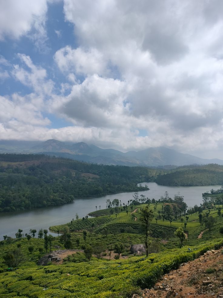 Kerala Honeymoon -When Romance Meets Nature Kochi-Munnar-Thekkady-Alappuzha-Varkala-