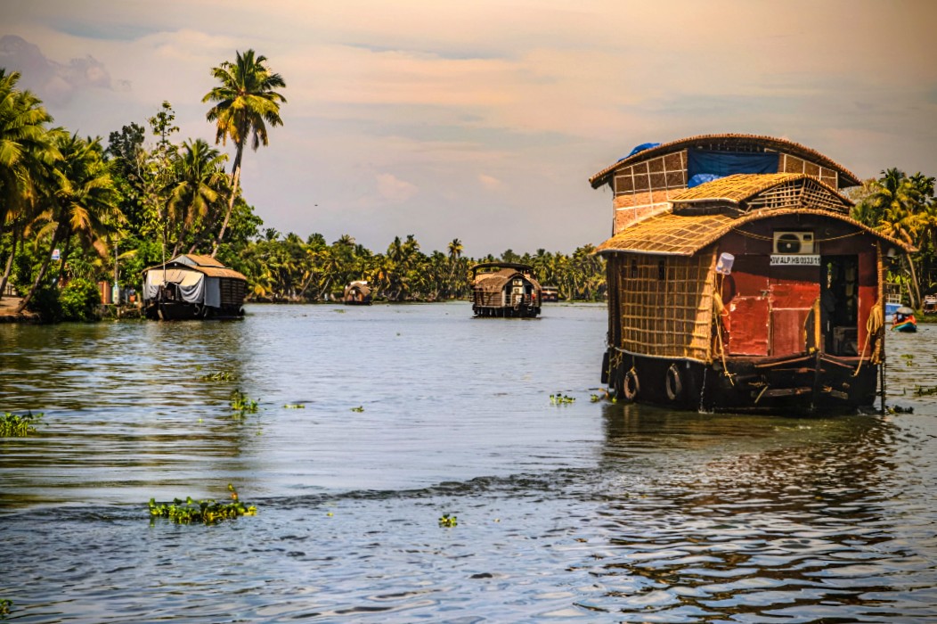 Family Mist & Waves Get away Kerala | Munnar | Thekkady | Alappuzha | Kochi |