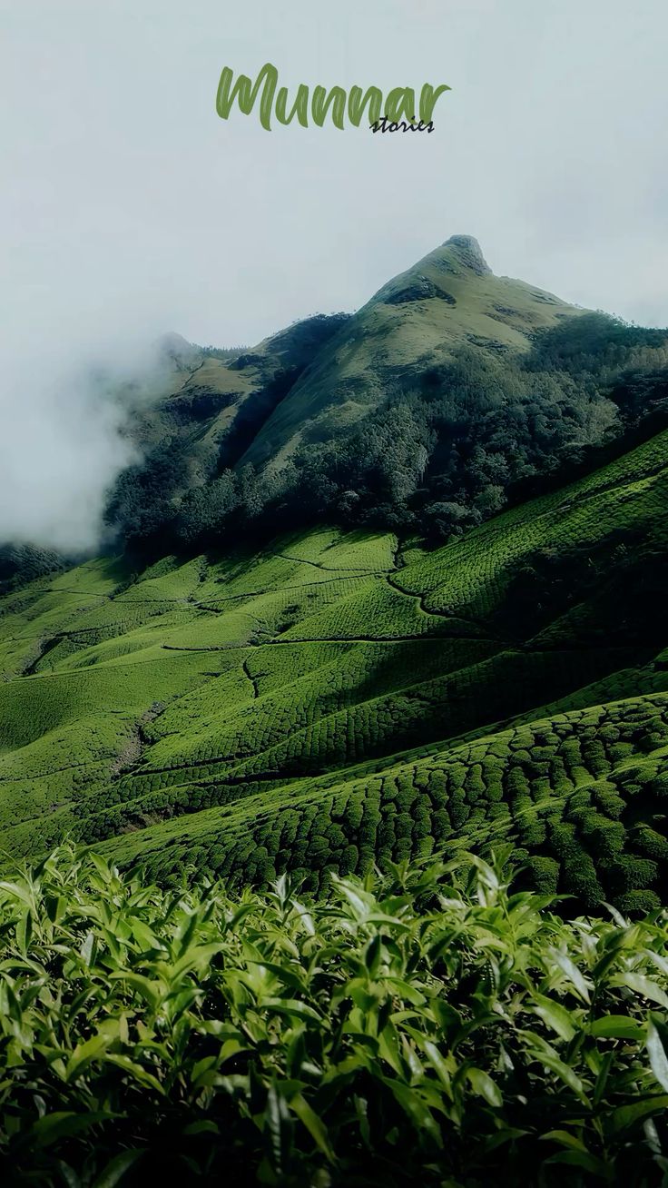 Corporate Trio Reset · Recharge · Reconnect – Kerala | Munnar | Thekkady | Alappuzha |