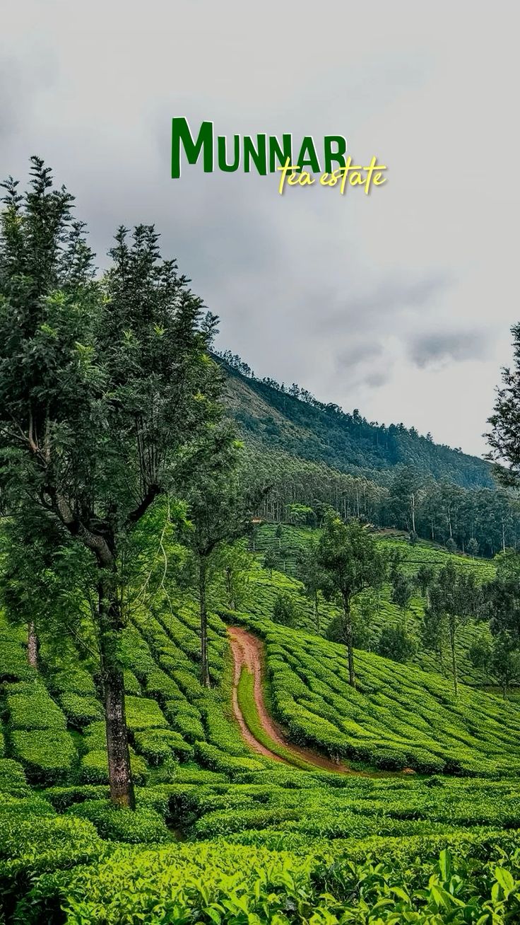 Family Mist & Waves Get away Kerala | Munnar | Thekkady | Alappuzha | Kochi |