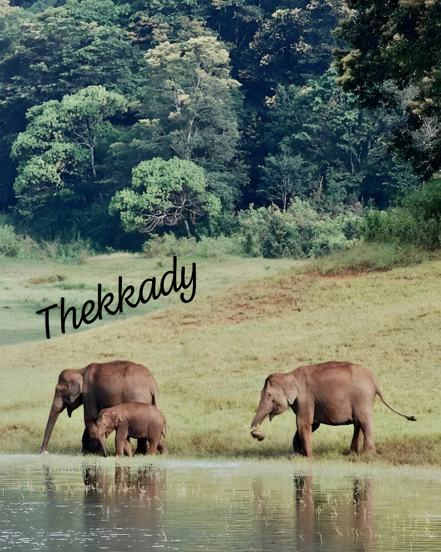 Family Mist & Waves Get away Kerala | Munnar | Thekkady | Alappuzha | Kochi |