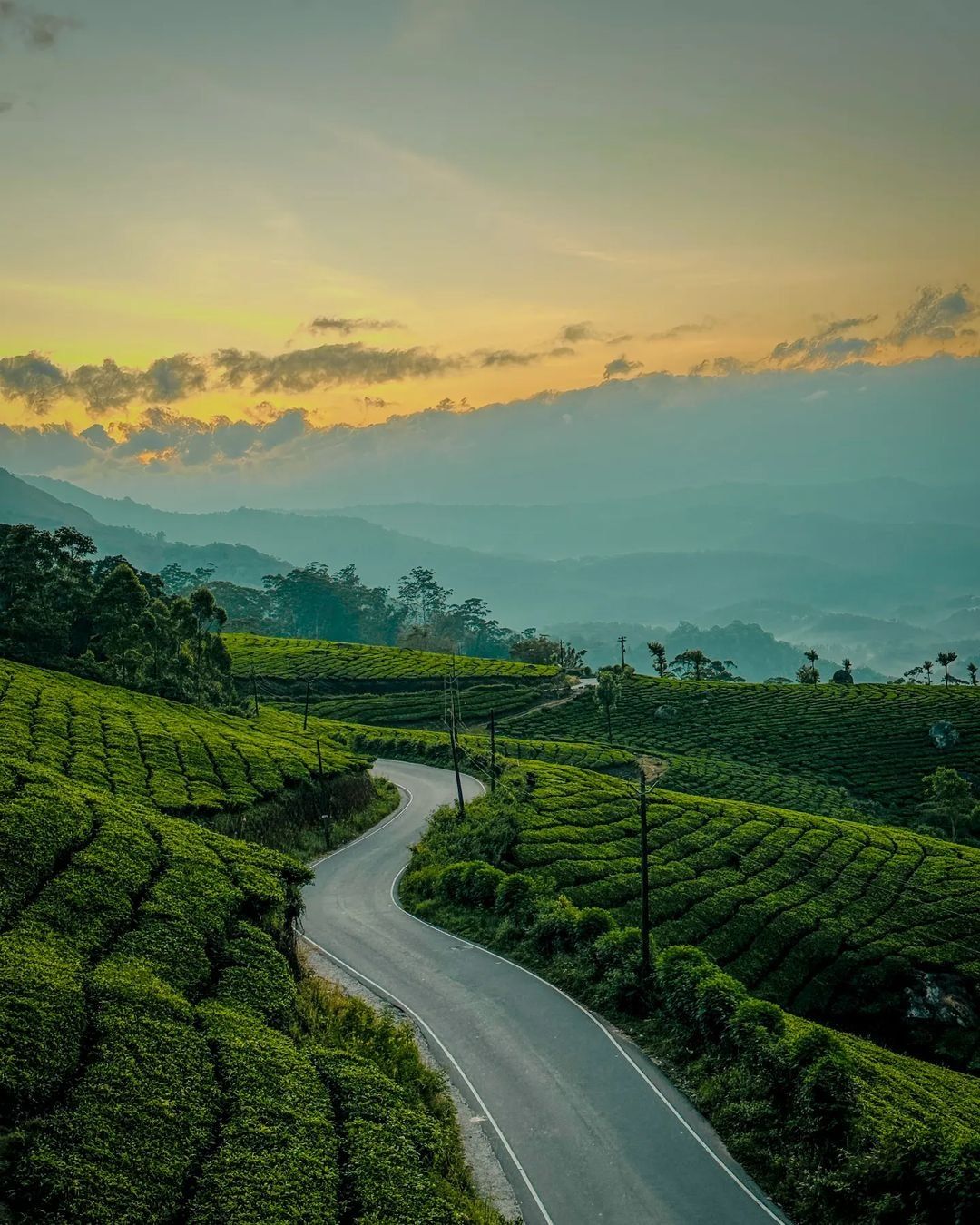 Kerala Honeymoon -When Romance Meets Nature Kochi-Munnar-Thekkady-Alappuzha-Varkala-