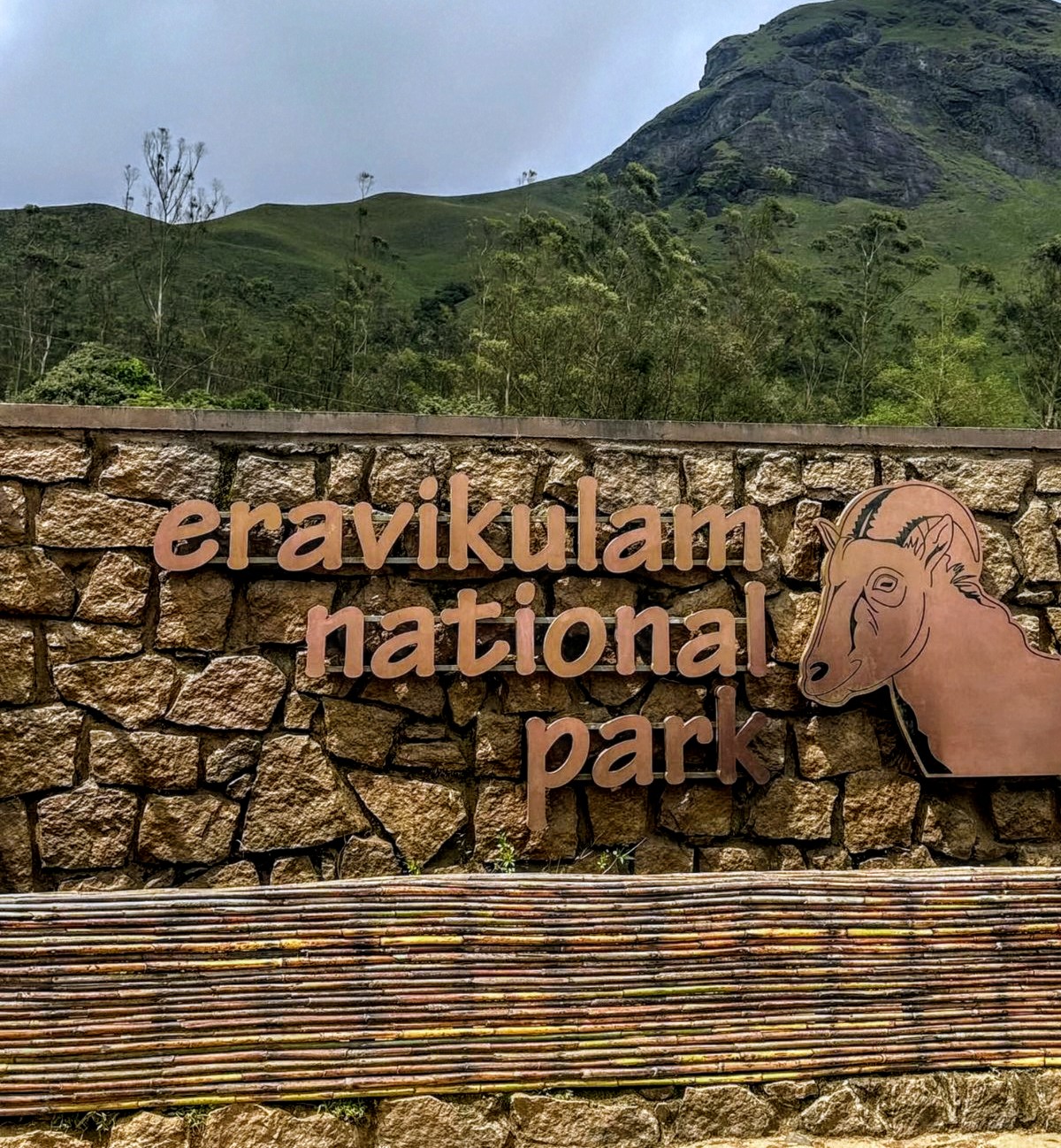 Family Mist & Waves Get away Kerala | Munnar | Thekkady | Alappuzha | Kochi |