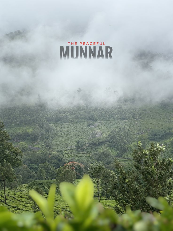 Family Mist & Waves Get away Kerala | Munnar | Thekkady | Alappuzha | Kochi |