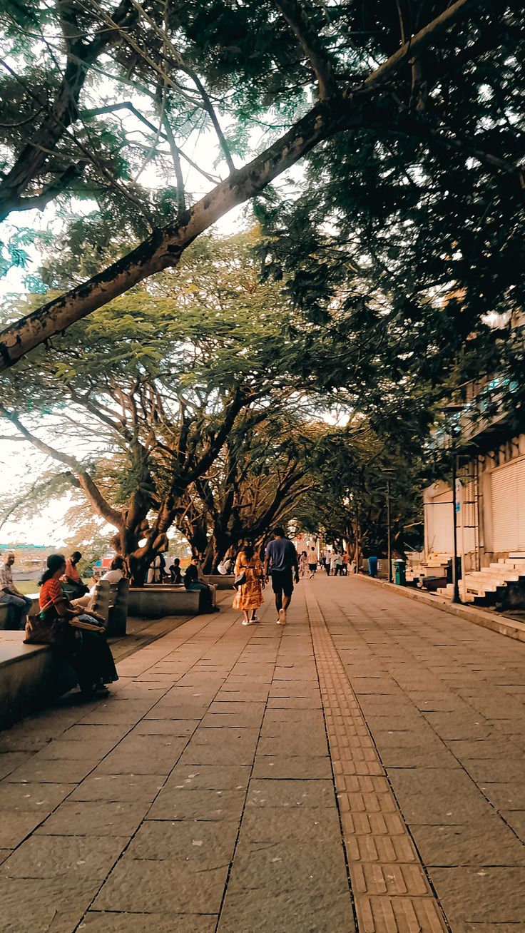 Kerala Honeymoon -When Romance Meets Nature Kochi-Munnar-Thekkady-Alappuzha-Varkala-