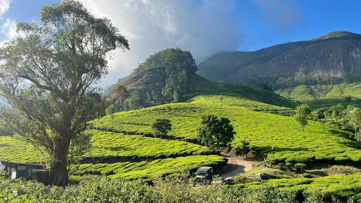 Kochi to Munnar